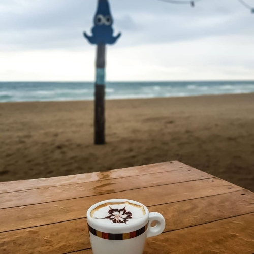 2 días • Temporada 2020 • Fotógrafa @yaelitasm y barista @jotta_gr02 