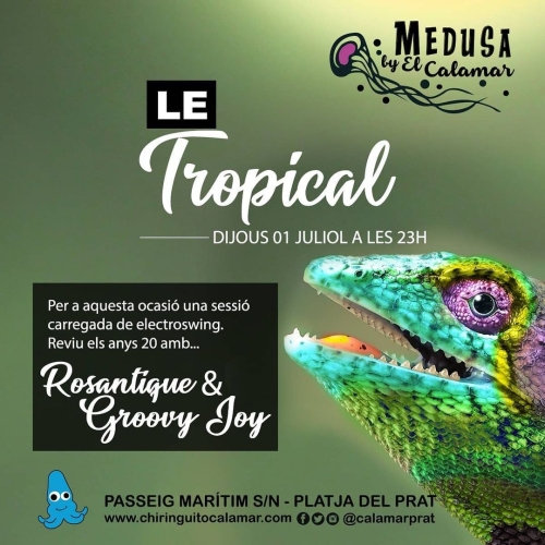 Hoy jueves 01/07, a las 23h: Le Tropical con Rosantique & Groovy Joy 