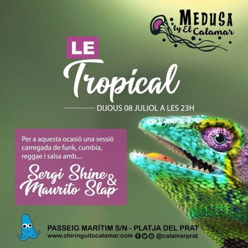 Nova sessió musical: LE TROPICALAvui, dijous 8 de juliol, a partir de 