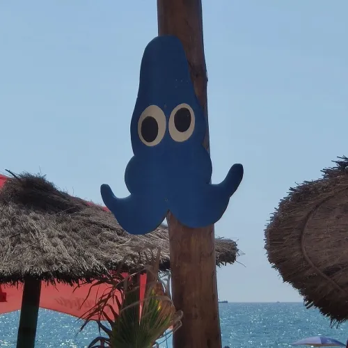 Viu l'estiu, viu la Platja, i... !!Fans incondicion 