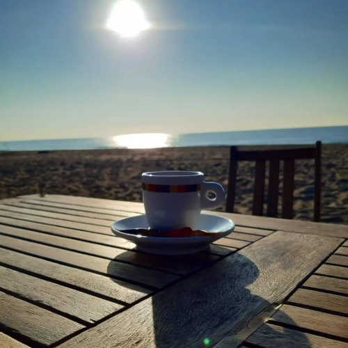 Bon dia, calamares!!Gaudiu molt de l'últim diumenge de la temporada 