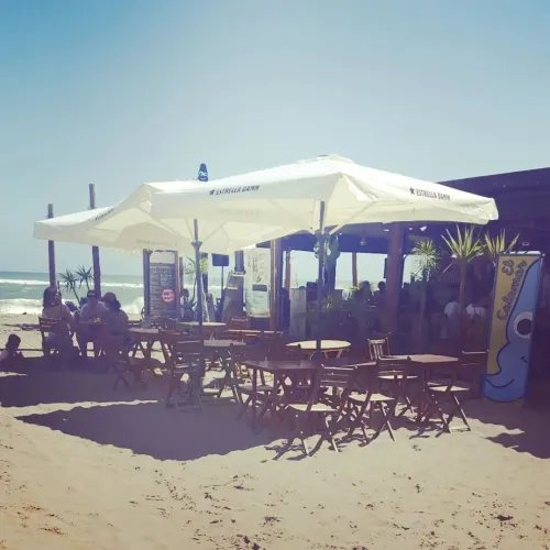 Bona Revetlla, calamares Hoy la Platja del Prat está cerrada,os espe 