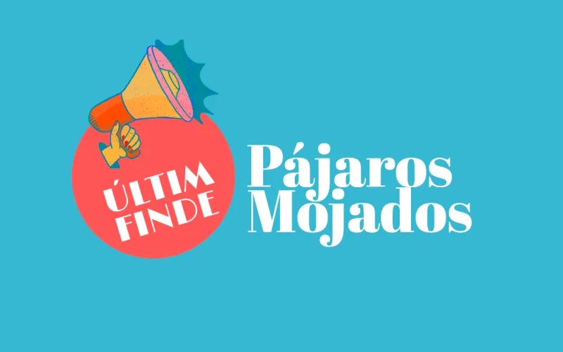 ÚLTIM FINDE amb PÁJAROS MOJADOS 