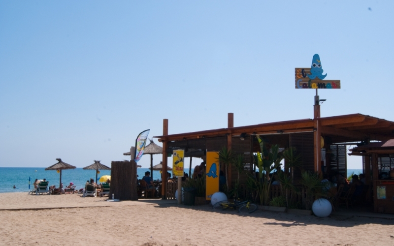 CHIRINGUITO EL CALAMAR 2015 