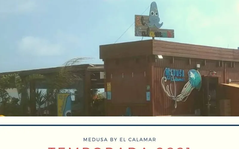 Falta 1 dia perqu&egrave; arribi l'Estiu #medusabyelcalamar2021 