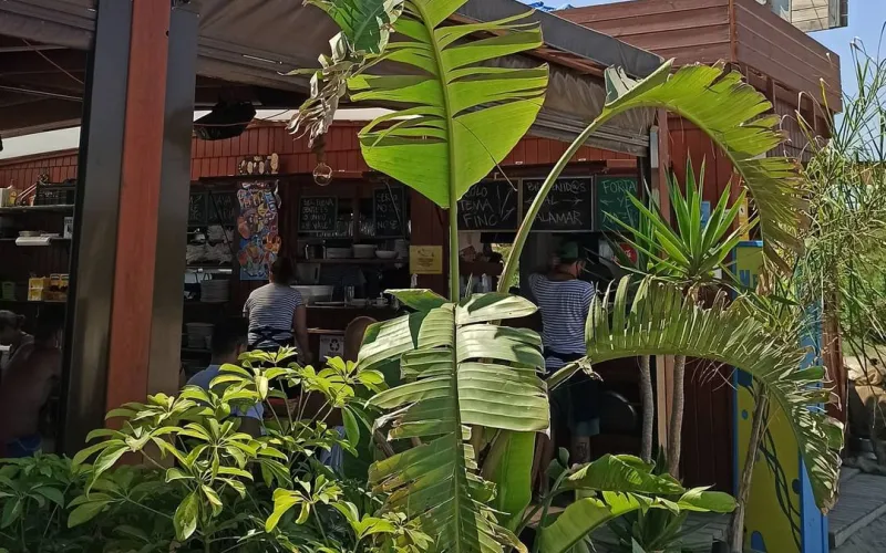 Esto no es Jaimaca Bon diumenge, calamares Us recordem que heu de 