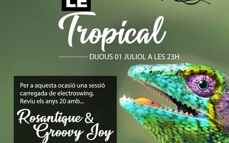 Hoy jueves 01/07, a las 23h: Le Tropical con Rosantique & Groovy Joy 