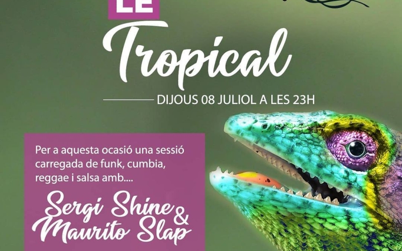 Nova sessió musical: LE TROPICALAvui, dijous 8 de juliol, a partir de 