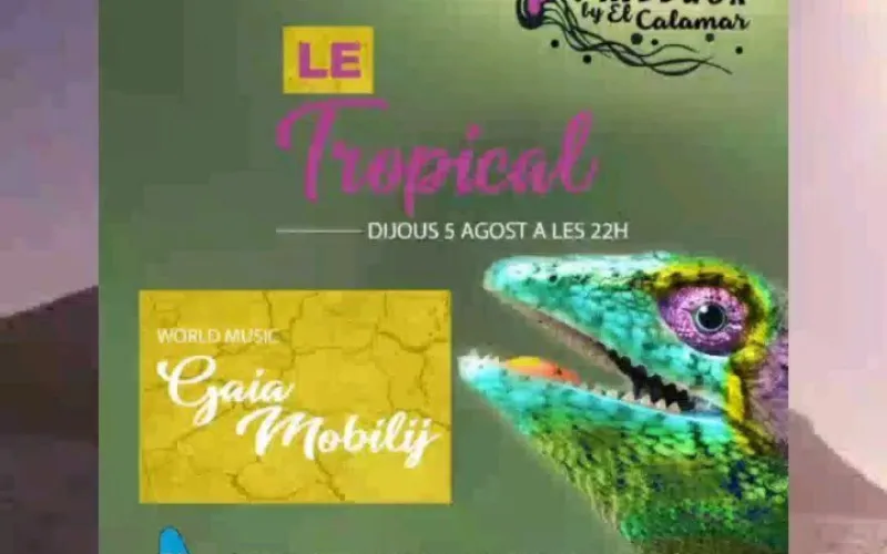 @gaiamobilij_official &eacute;s una artista i multiinstrumentista italiana.Cant 