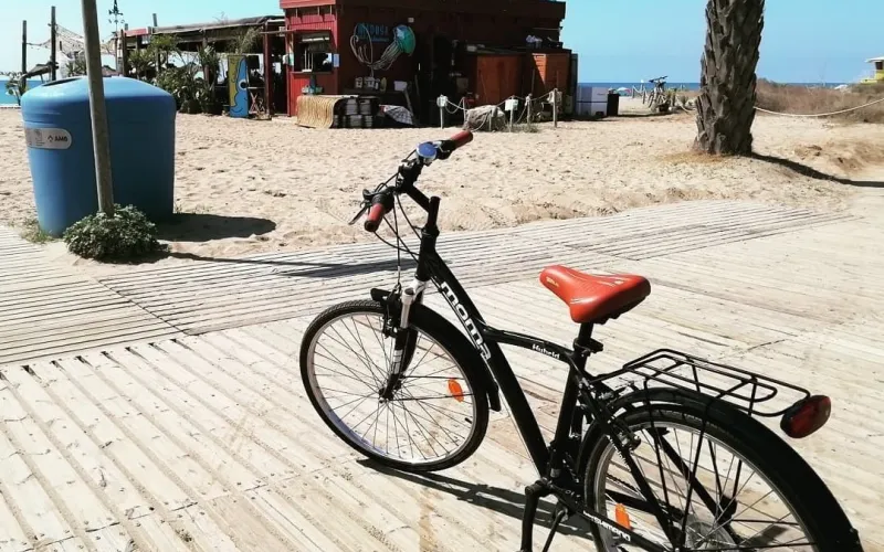 Bon diumenge, calamares!Levanta las manos si has venido en bicicleta Os da 