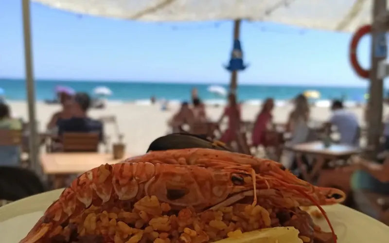 Ja arriba Aquest dijous 12 de maig serà el primer 