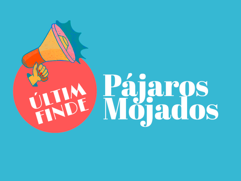 ÚLTIM FINDE amb PÁJAROS MOJADOS 